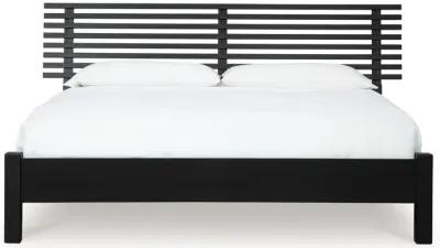 Danziar - Slat Panel Bed With Low Footboard Set