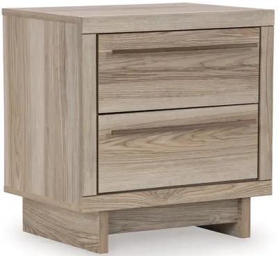 Hasbrick - Panel Bedroom Set