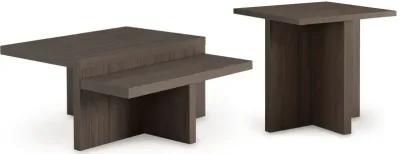 Zendex - Brown - Occasional Table Set (Set of 2)