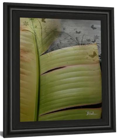 Butterfly Palm Il By Patricia Pinto - Framed Print Wall Art - Green