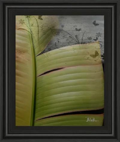 Butterfly Palm Il By Patricia Pinto - Framed Print Wall Art - Green