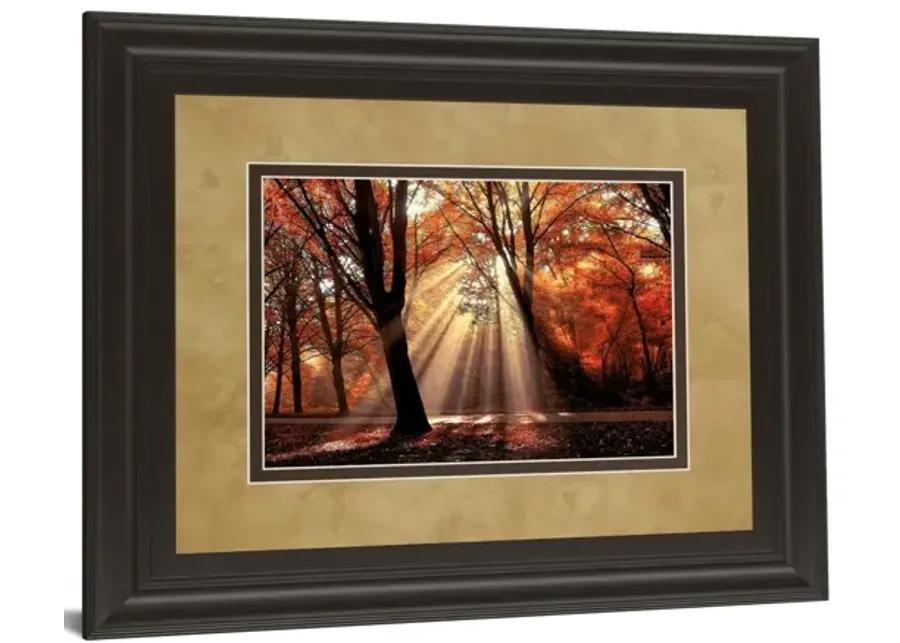 Dressed To Shine By Lars Van De Goor - Framed Print Wall Art - Red