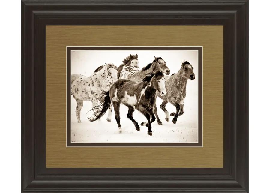 Painted Horses Run By Carol Walker - Framed Print Wall Art - Dark Brown