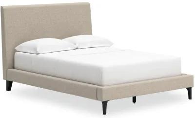 Cielden - Upholstered Bed With Roll Slats