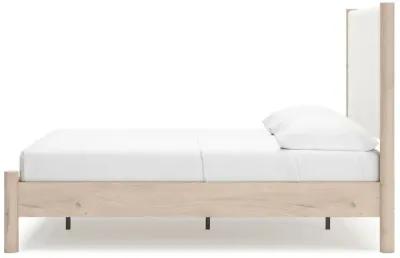 Cadmori - Upholstered Panel Bed