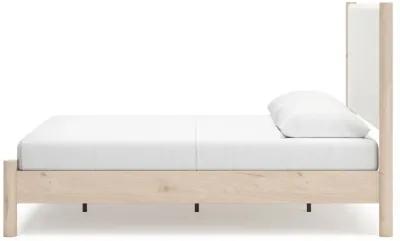 Cadmori - Upholstered Panel Bed