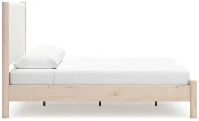 Cadmori - Upholstered Panel Bed