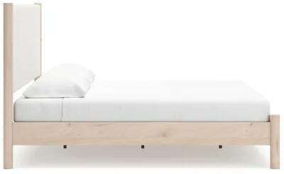 Cadmori - Upholstered Panel Bed