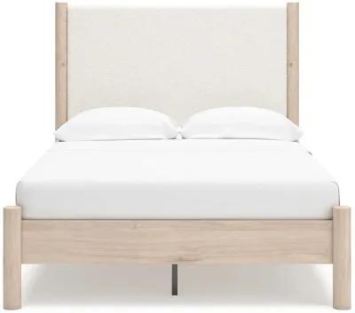 Cadmori - Upholstered Panel Bed