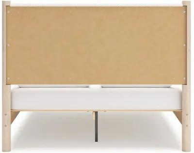 Cadmori - Upholstered Panel Bed