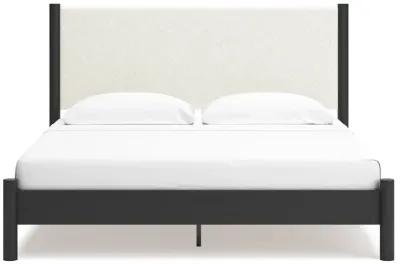 Cadmori - Upholstered Panel Bed