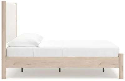 Cadmori - Upholstered Panel Bed