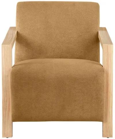 Diego - Upholstered Accent Arm Chair With Wood Arms