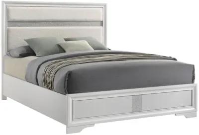 Miranda - Upholstered Panel Bed