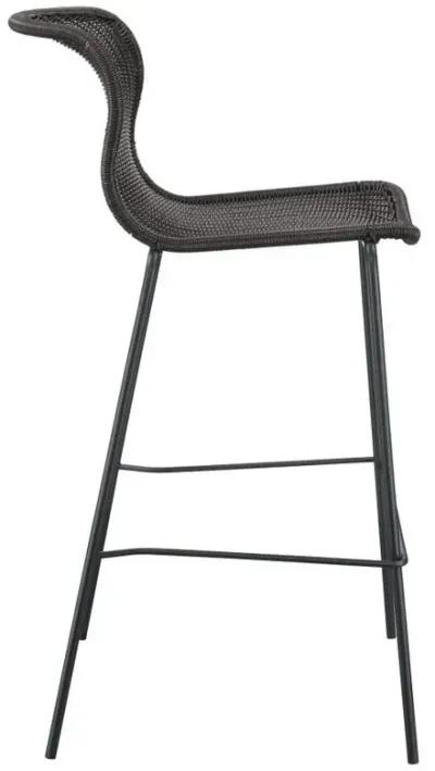 Mckinley - Faux Rattan Metal Chair (Set of 2)