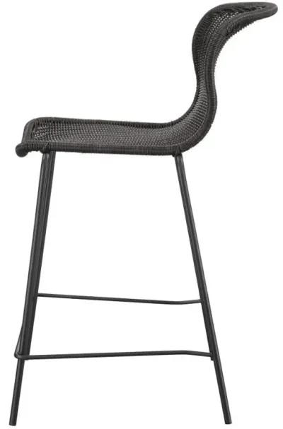 Mckinley - Faux Rattan Metal Chair (Set of 2)