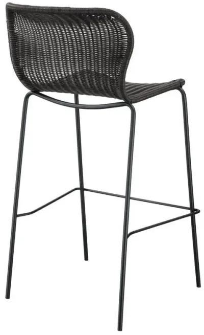 Mckinley - Faux Rattan Metal Chair (Set of 2)