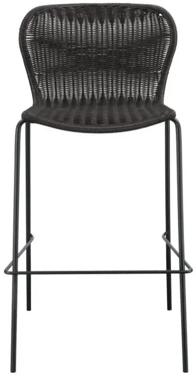 Mckinley - Faux Rattan Metal Chair (Set of 2)