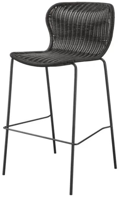 Mckinley - Faux Rattan Metal Chair (Set of 2)