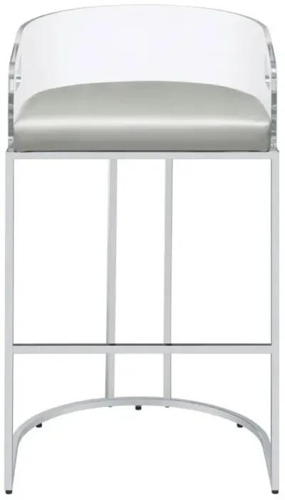 Thermosolis - Clear Acrylic Chair (Set of 2)