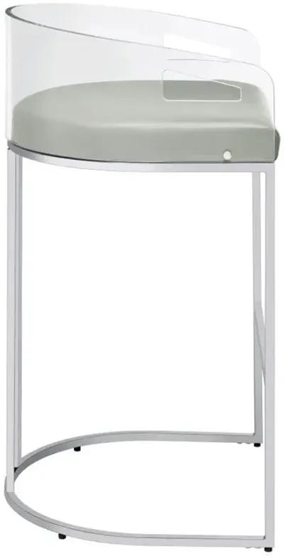 Thermosolis - Clear Acrylic Chair (Set of 2)