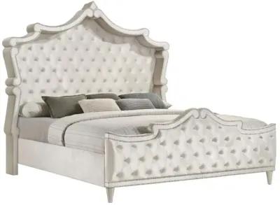 Antonella - Upholstered Panel Bed