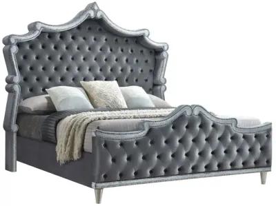 Antonella - Upholstered Panel Bed