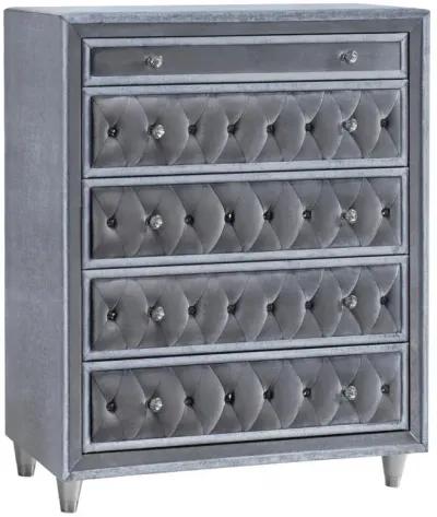 Antonella - 5-Drawer Bedroom Chest