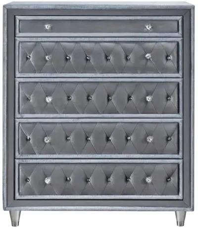 Antonella - 5-Drawer Bedroom Chest