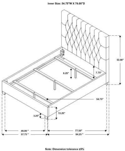 Chloe - Upholstered Panel Bed