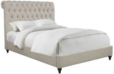 Devon - Upholstered Panel Bed