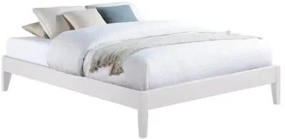 Hounslow - Universal Platform Bed