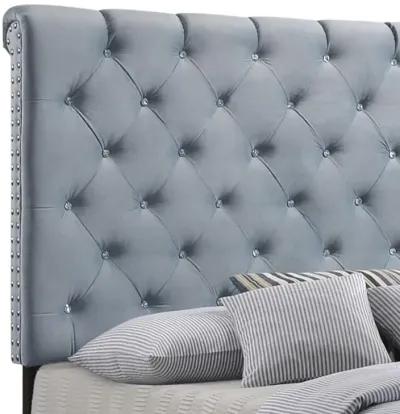 Warner - Upholstered Panel Bed