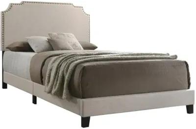 Tamarac - Upholstered Panel Bed