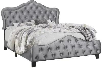 Bella - Upholstered Panel Bed