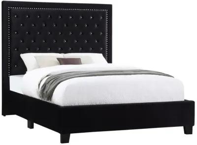 Hailey - Upholstered Panel Bed