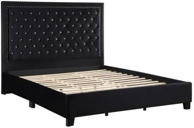 Hailey - Upholstered Panel Bed