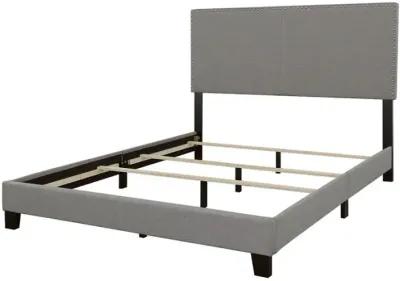 Boyd - Upholstered Panel Bed