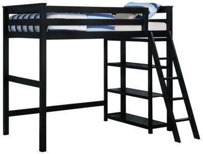 Anica - 3-Shelf Wood Loft Bed