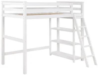 Anica - 3-Shelf Wood Loft Bed