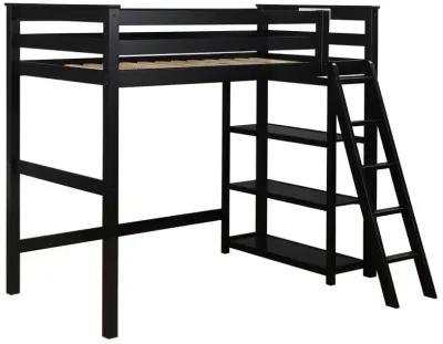 Anica - 3-Shelf Wood Loft Bed