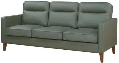 Jonah - Upholstered Track Arm Sofa