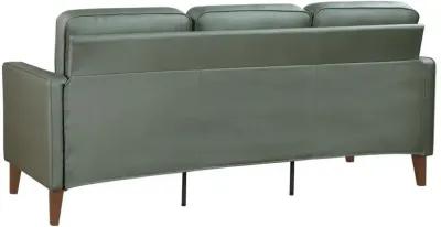 Jonah - Upholstered Track Arm Sofa