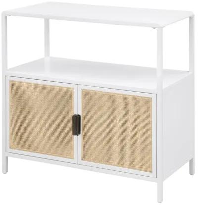 Amherst - 2-Door Radio Weave Cane Metal Accent Cabinet