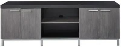 Cabinet Enclosed, Storage TV Stand - Black / Gray