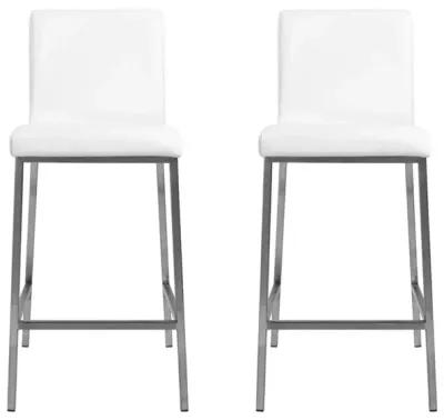 Low Back Counter Height Bar Chairs (Set of 2) - White / Silver