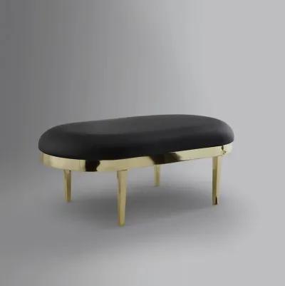 Upholstered Faux Leather Bench - Black / Gold