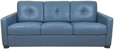 Leather Sleeper Sofa - Blue / Black