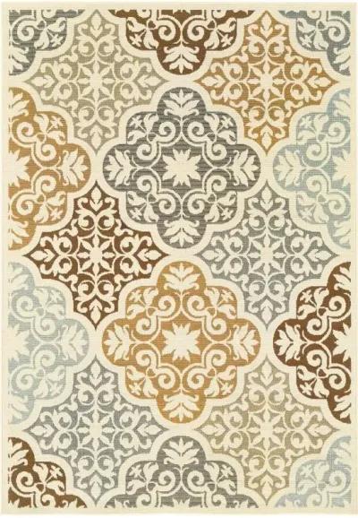 4' X 6' Moroccan Indoor / Outdoor Area Rug - Gray / Ivory