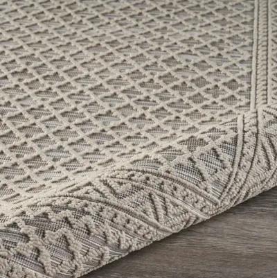 5' X 7' Indoor & Outdoor Area Rug - Gray